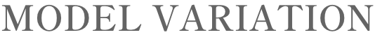 MODEL VARIATION